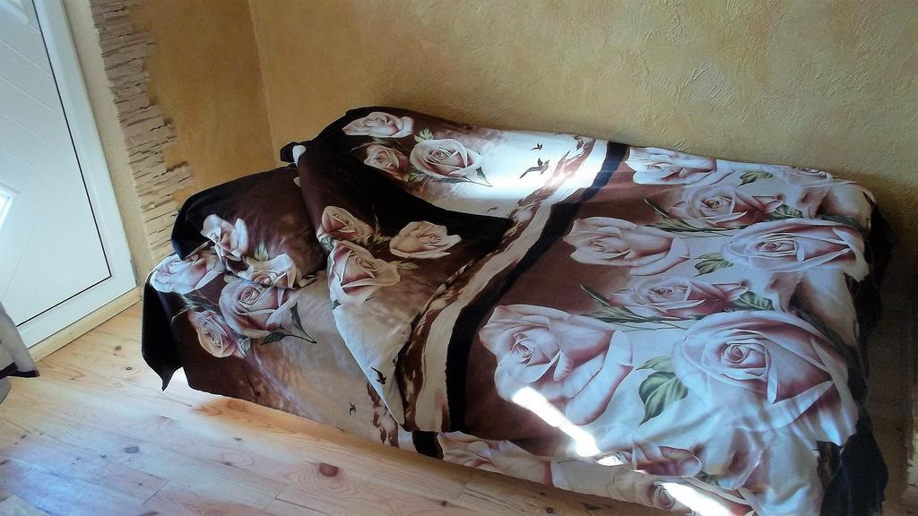 Zelta pirts Guest House Ventspils Extérieur photo